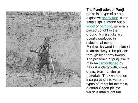 punji stick|punji sticks definition.